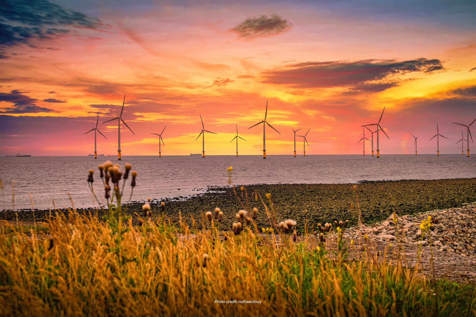Offshore Wind Turbine farm operating off the coast of England.